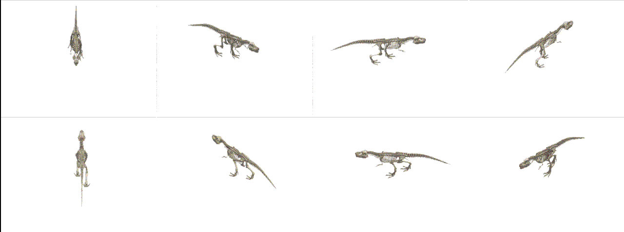 Looping animated gif of a CG t-rex skeleton walking on the spot from 8 different directions